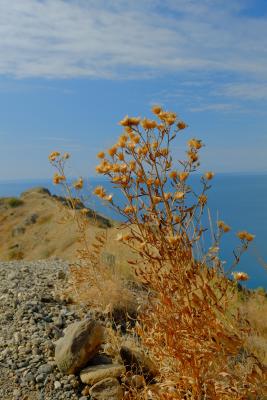 Прикрепленное изображение: 2.JPG